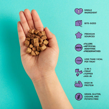 Snaggletooth Chicken Liver - Dog Treats