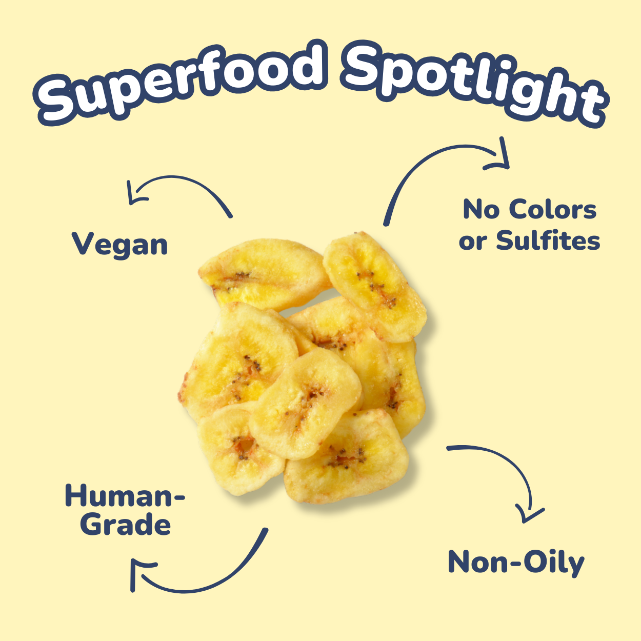 Healthybud's Single-Ingredient Banana Chip Dog Treats