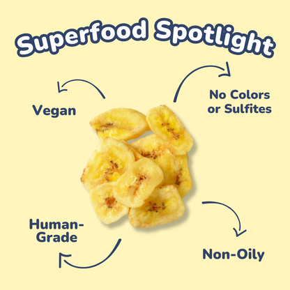 Healthybud's Single-Ingredient Banana Chip Dog Treats