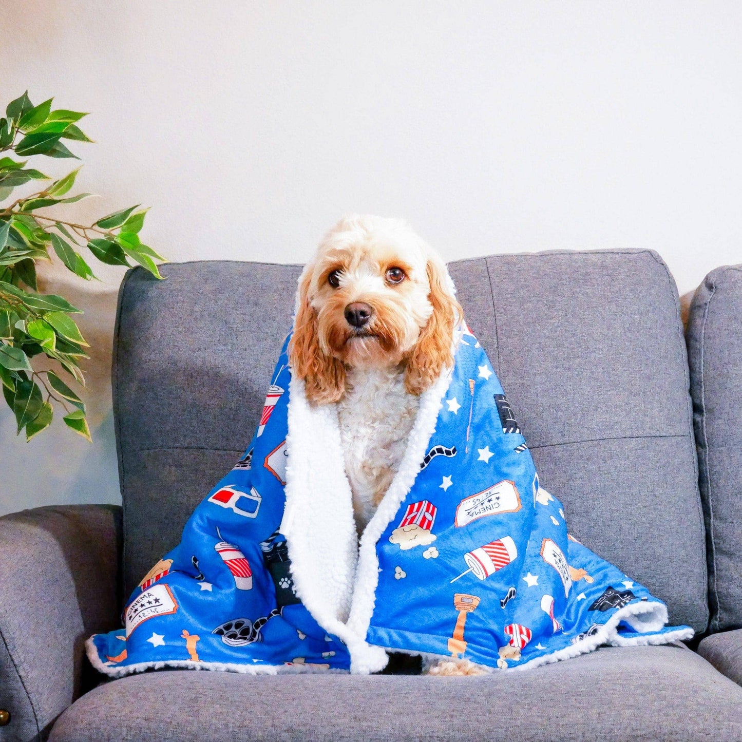 Howl-lywood Pet Blanket