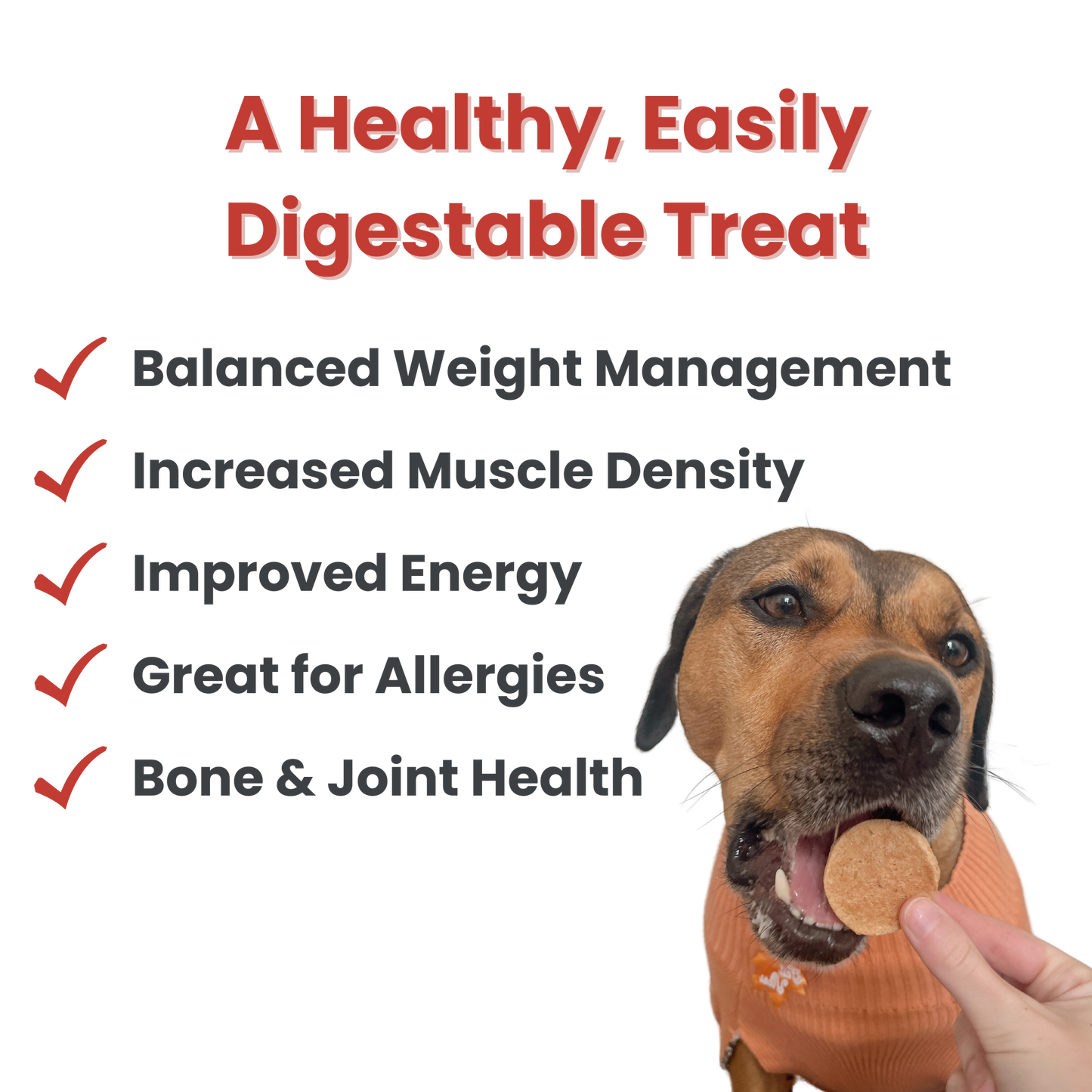 Fish Chips Dog Treats: Standard 4oz