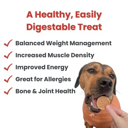 Fish Chips Dog Treats: Standard 4oz