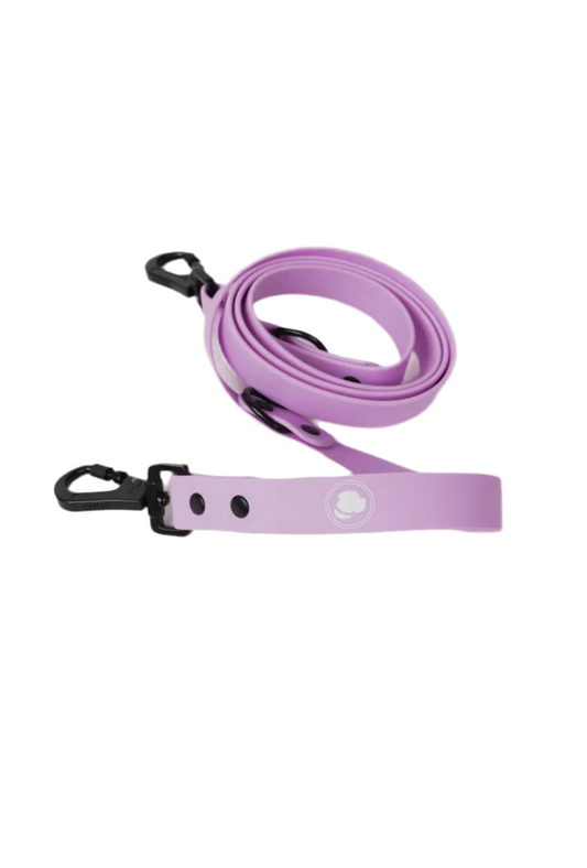 Blush Pink Leash