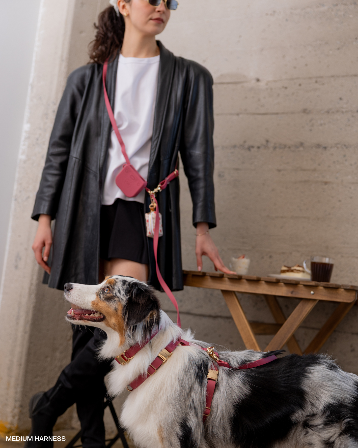 Burgundy 4-in-1 Convertible Hands Free Cloud Dog Leash: Standard