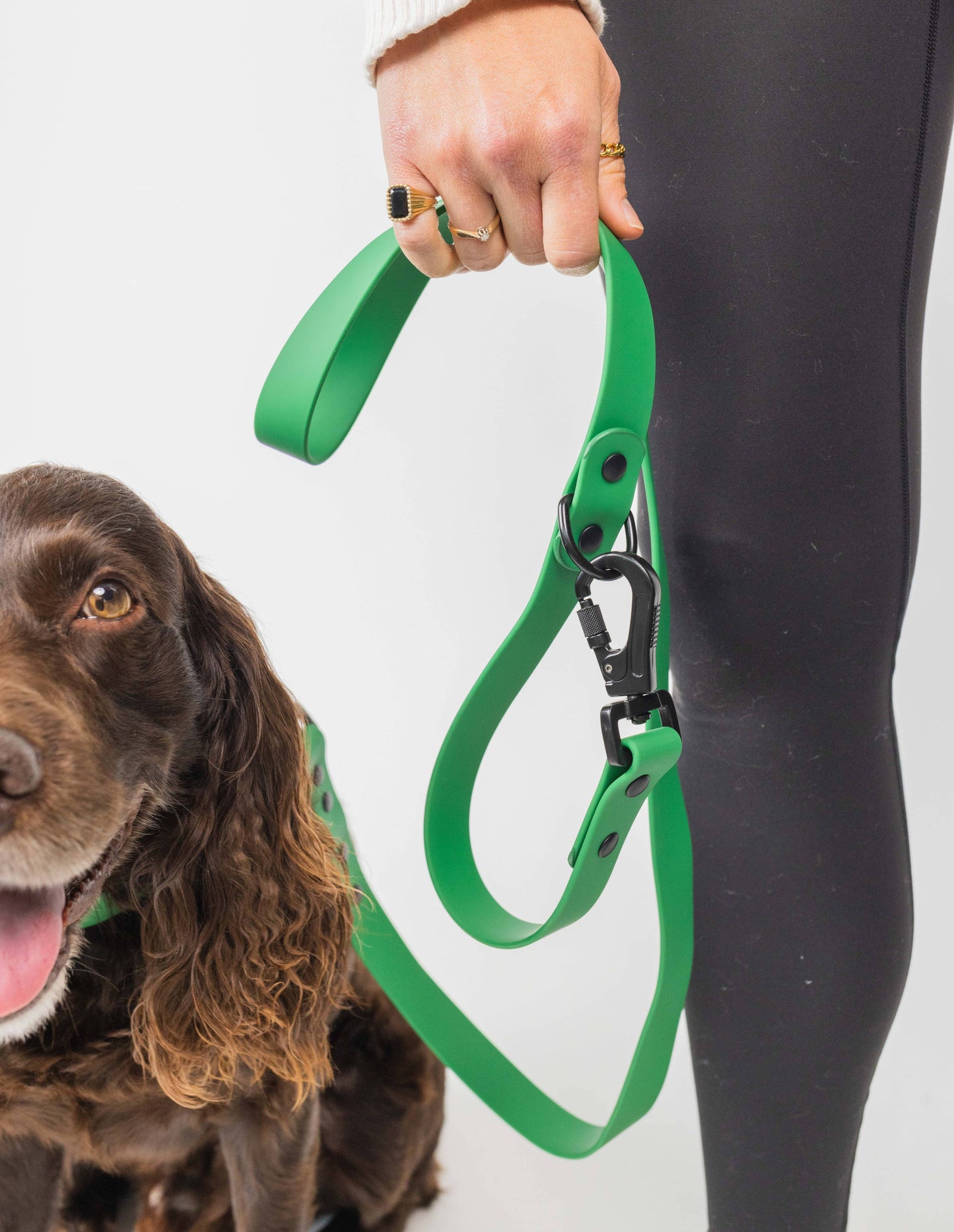 Clover Green Leash (Weather & Odor Resistant)