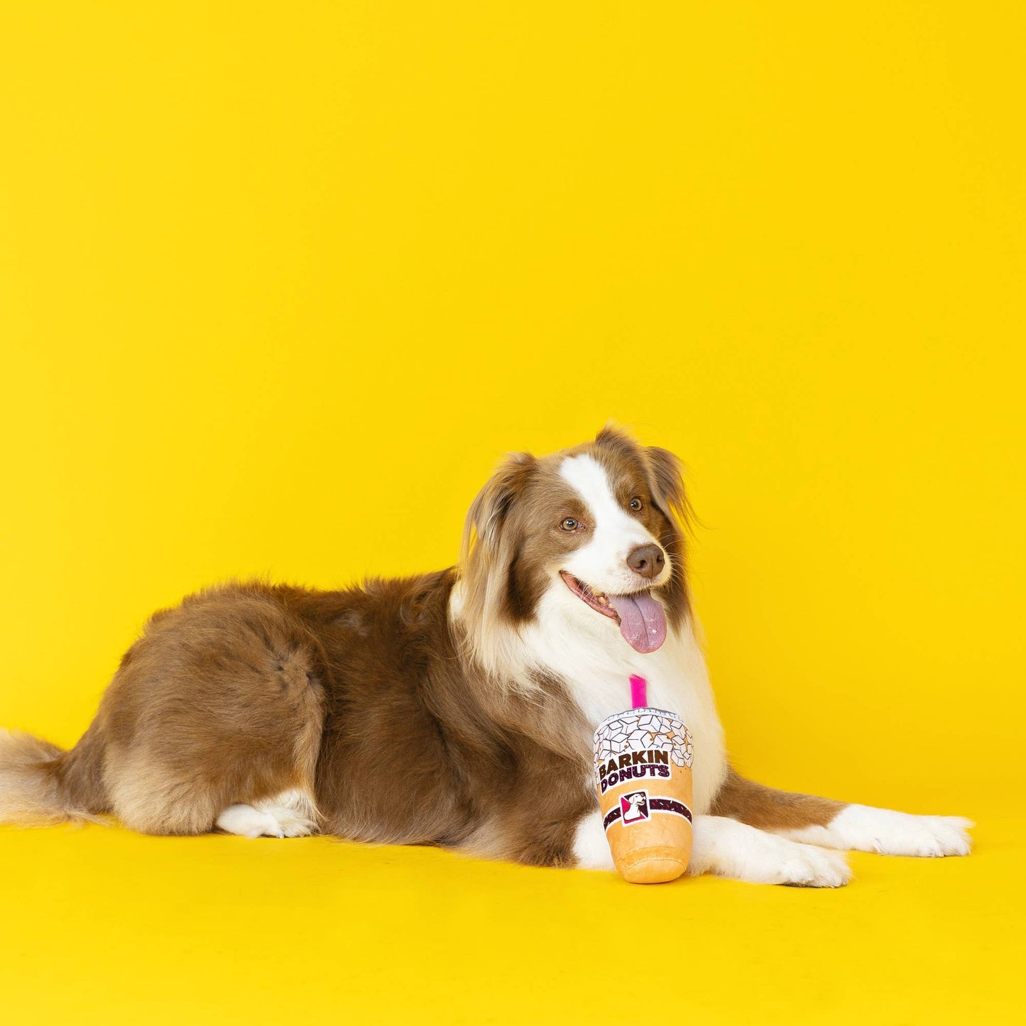 Barkin Donut Iced Coffee Dog Toy