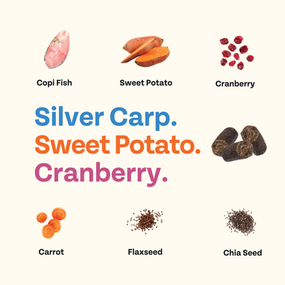 Chippin Training Bites Fish Sweet Potato Cranberry Soft Dog Treats