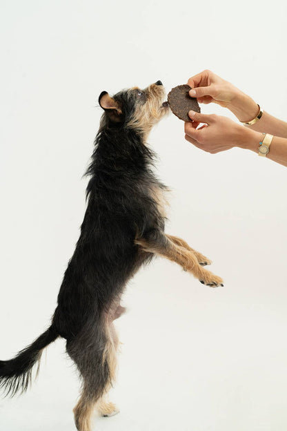 Winnie Lou Bison Burger Jerky