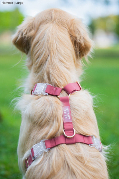 Sunny Tails Mulberry Burgundy Cloud Lite Dog Harness: