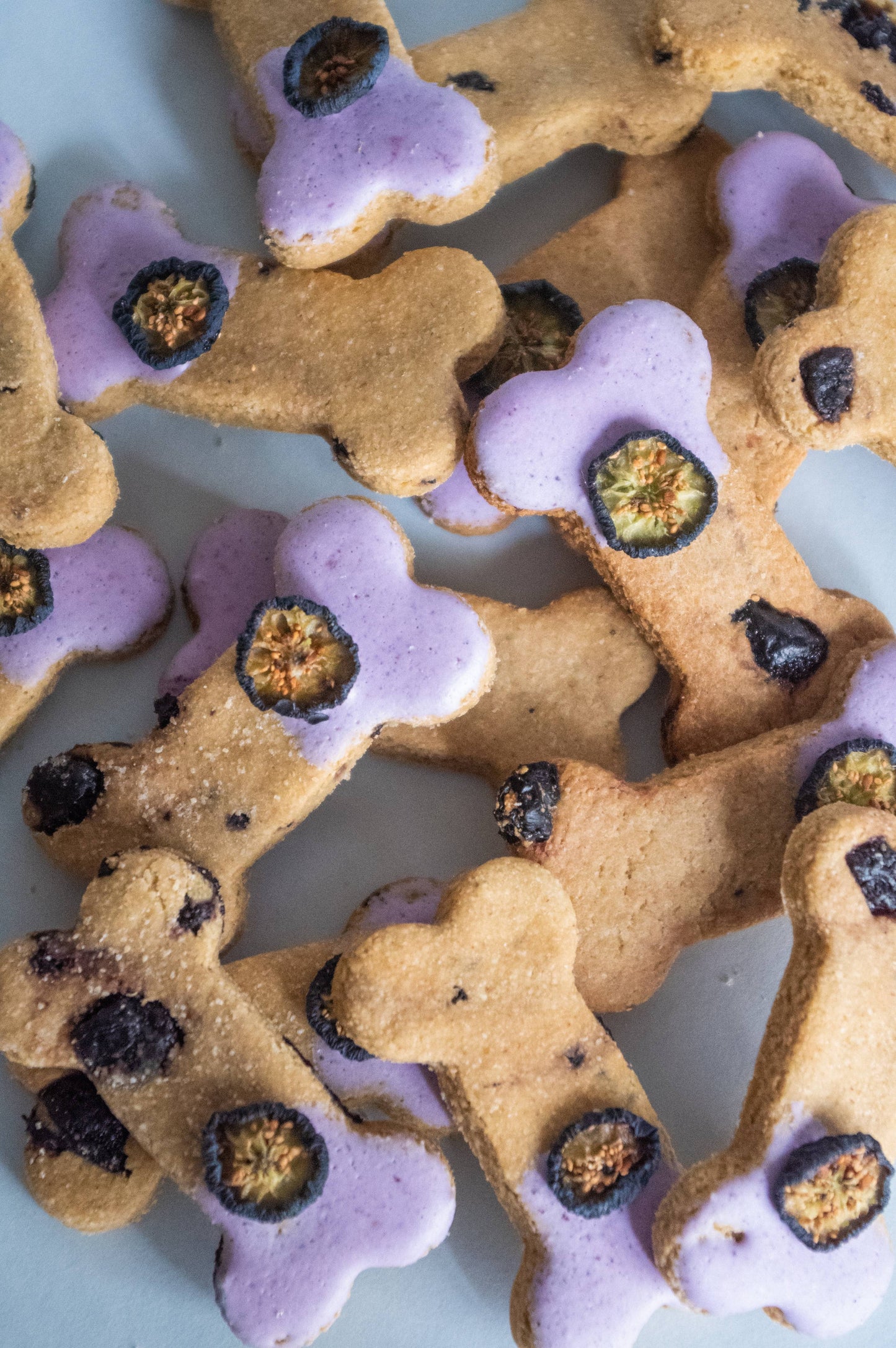 Barkley & Blue Chicken & Waffles Dog Biscuits