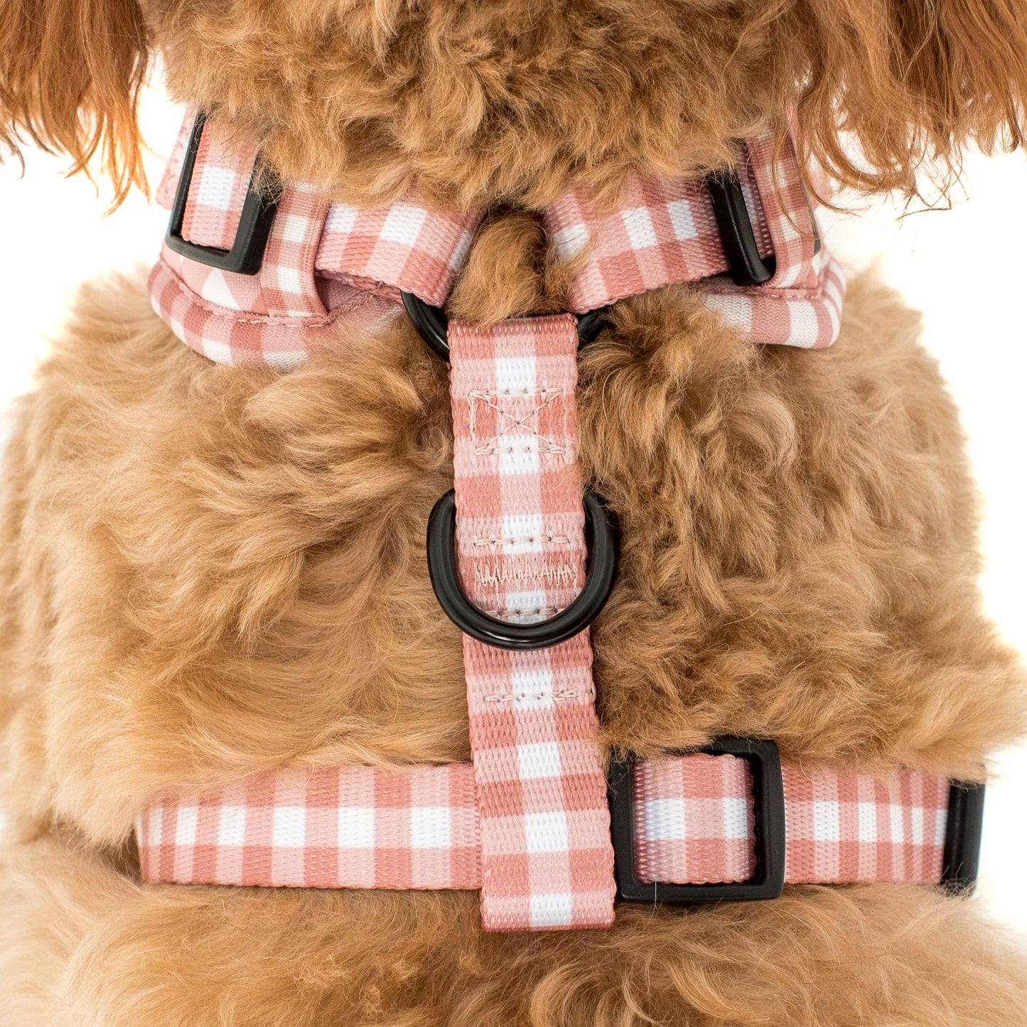 Chocolate Gingham Dog Harness