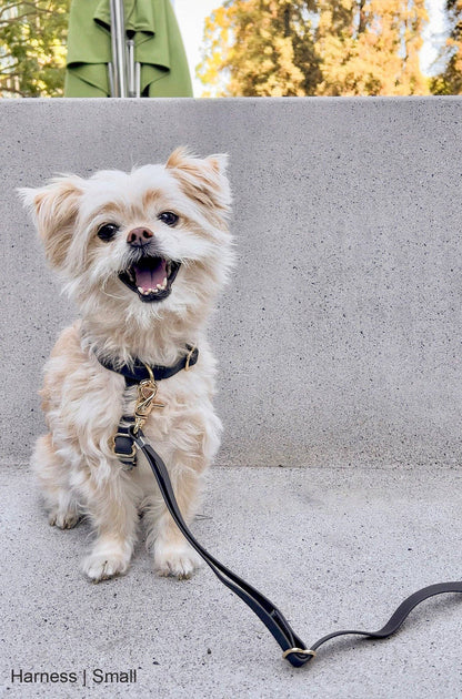 Sunny Tails Ember Black Cloud Lite Dog Harness