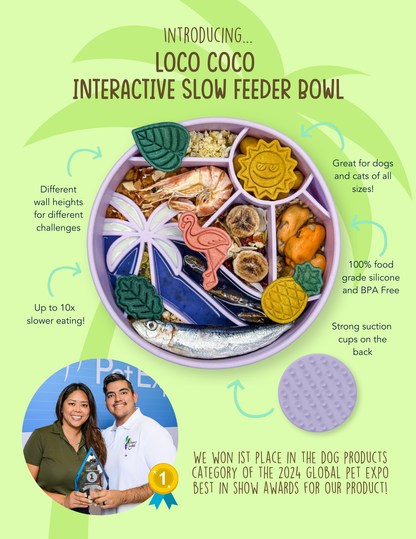 Loco Coco Interactive Slow Feeder Bowl : Moonlight