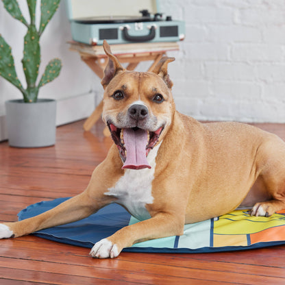 GF Pet Ice Cooling Mat: Dark Blue: Large/ Medium