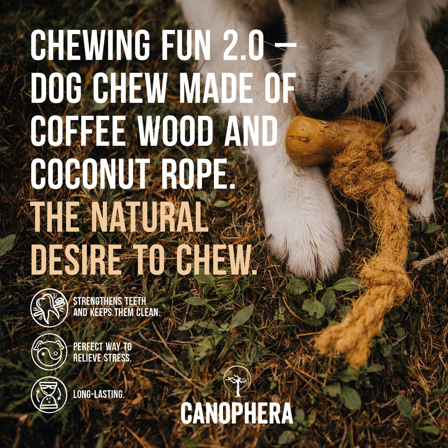 Coffee & Coco Wood Dog Chews with rope