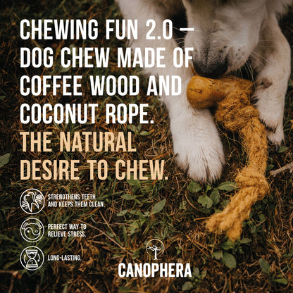 Coffee & Coco Wood Dog Chews with rope