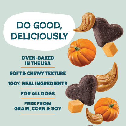 Pumpkin Nut Par-tay Soft Baked Dog Treats