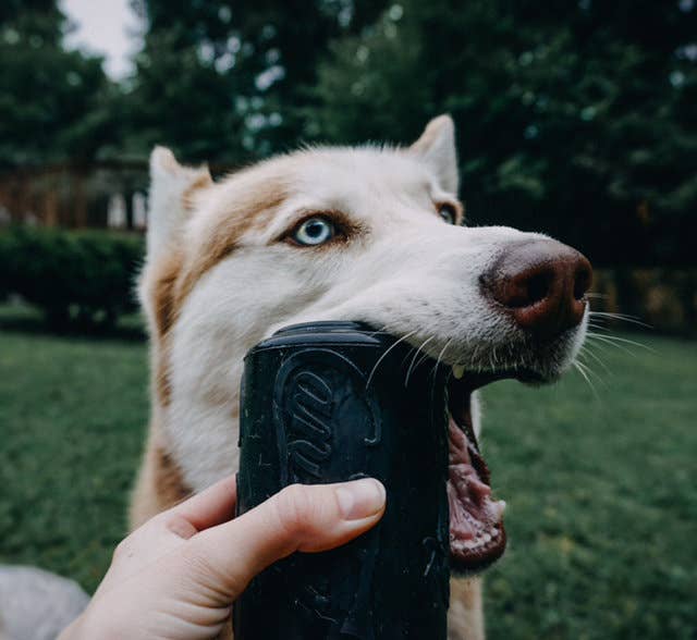Magnum Can Toy: Large