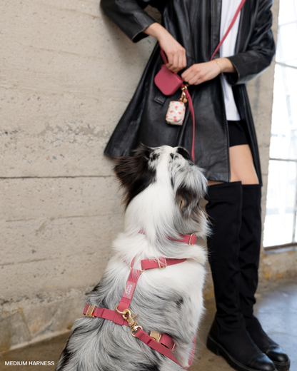 Burgundy 4-in-1 Convertible Hands Free Cloud Dog Leash: Wide