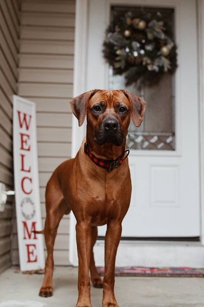 Outback Hound Classic Plaid Dog Collar