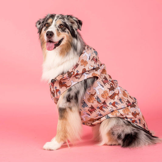 Winter Pooches: Raincoat
