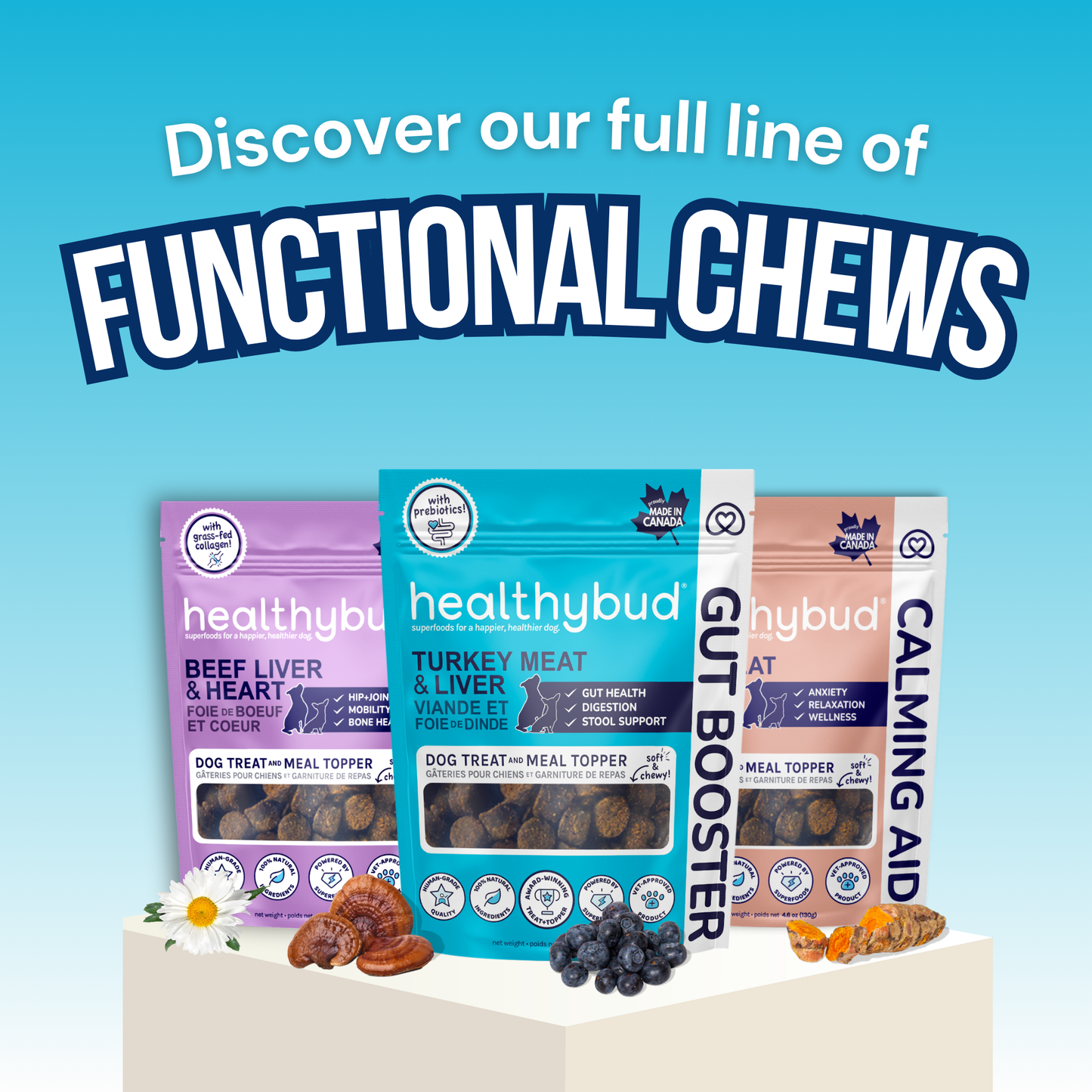 Healthybud's Functional Beef Dog Treats: 4.6oz