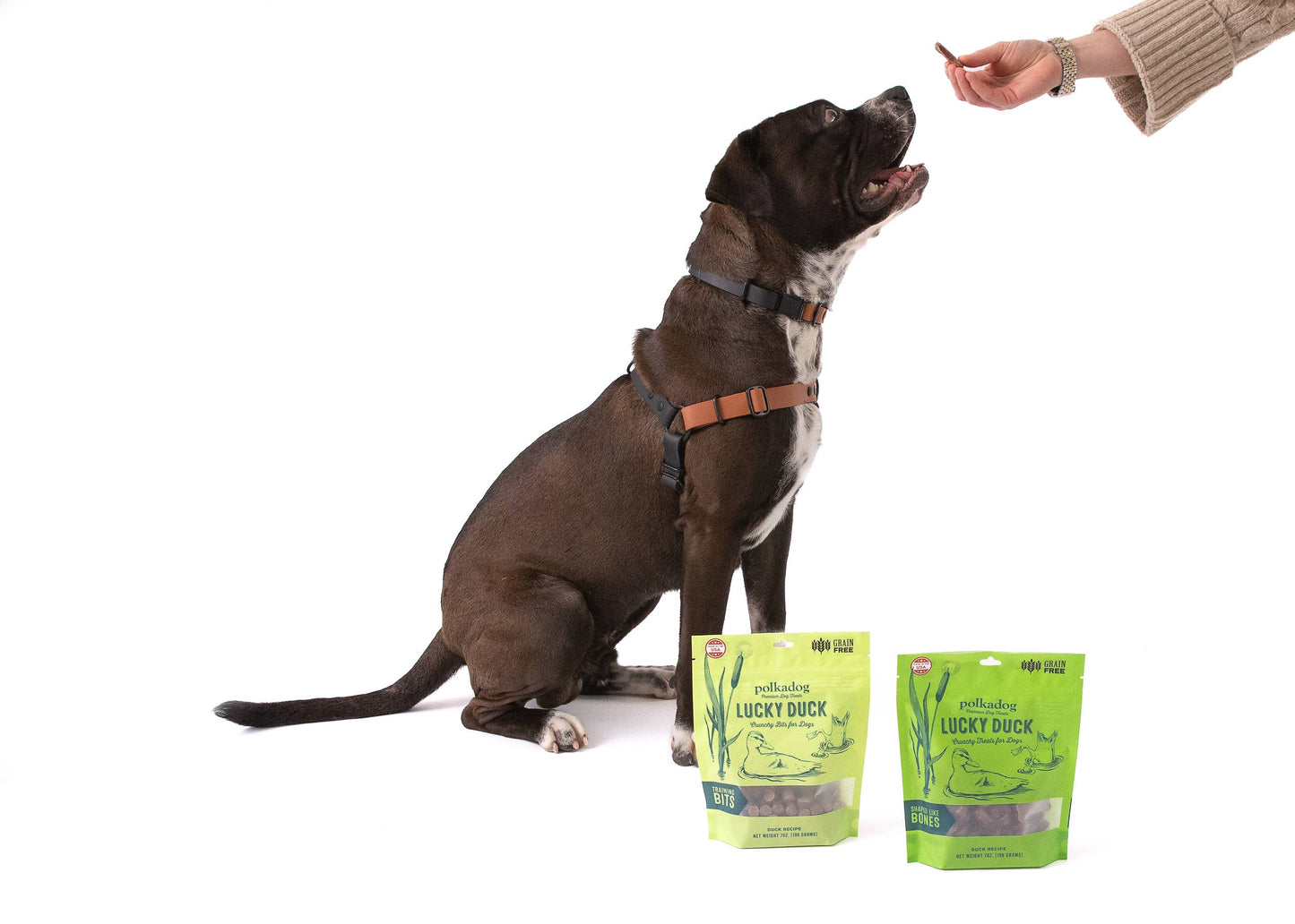 Polka Dog Lucky Duck Dog Treats