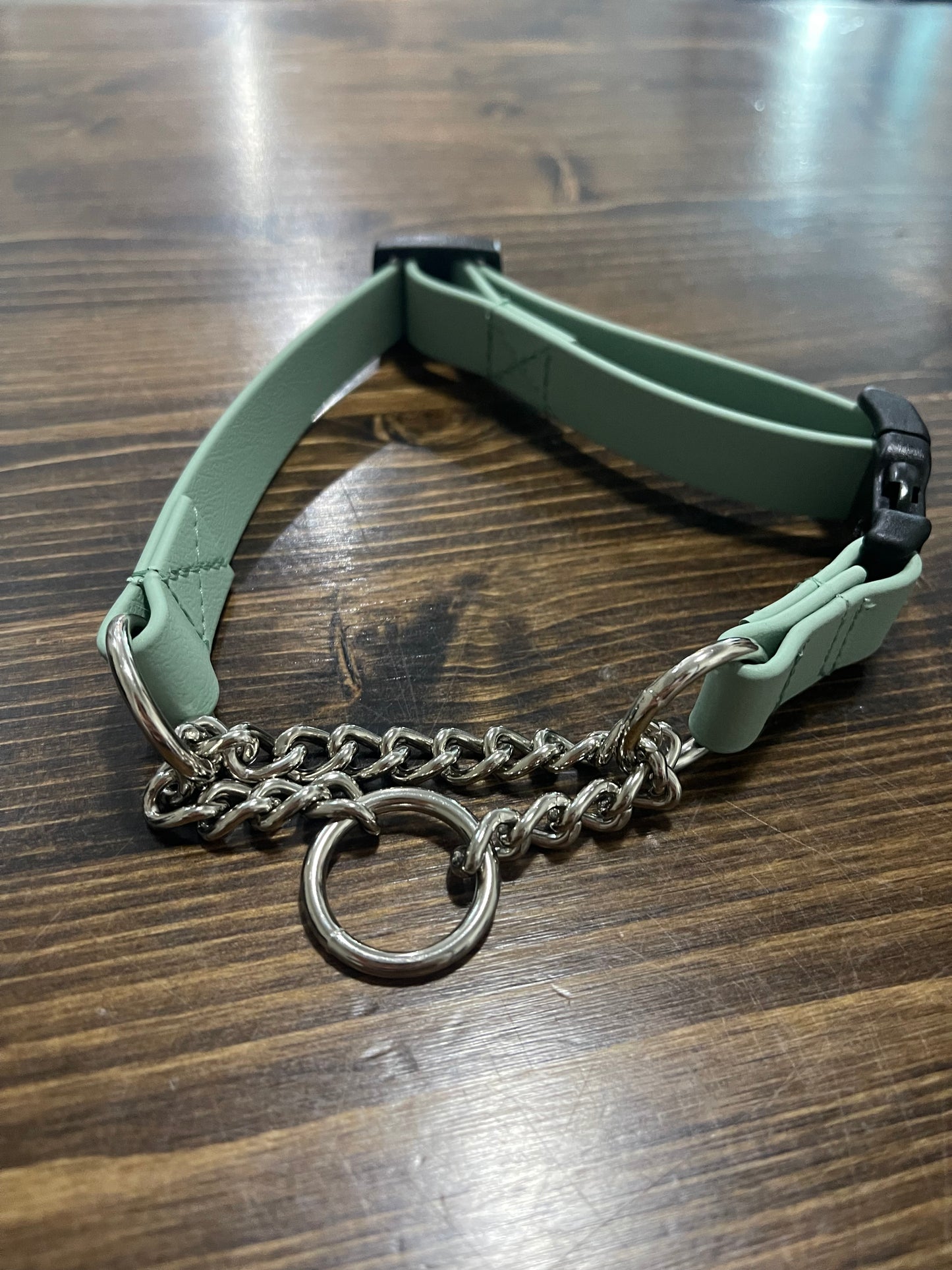 Martingale Biothane Dog Collar: Sage Green