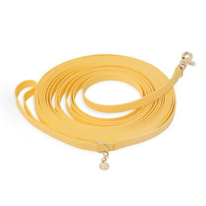 Dandelion Yellow Waterproof Cloud 30 Ft Dog Leash