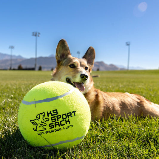 Jumbo Tennis Ball