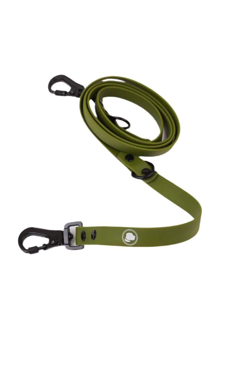 Olive Green Leash