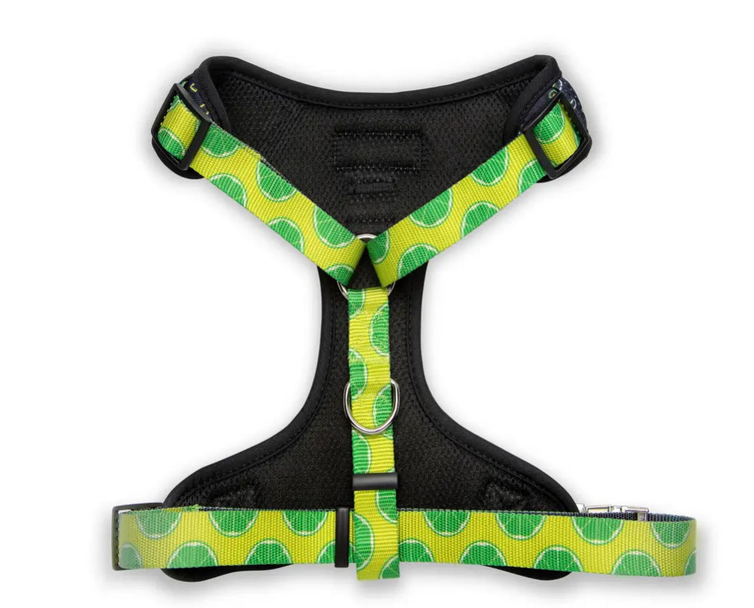 Retro Taco Tuesday Dog Harness