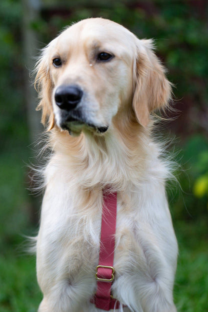 Sunny Tails Mulberry Burgundy Cloud Lite Dog Harness:
