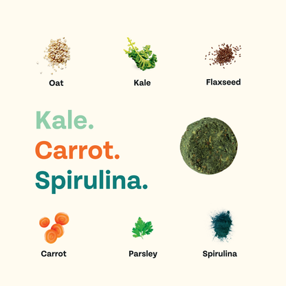 Veggie Dailies Kale Carrot Spirulina Dog Treats
