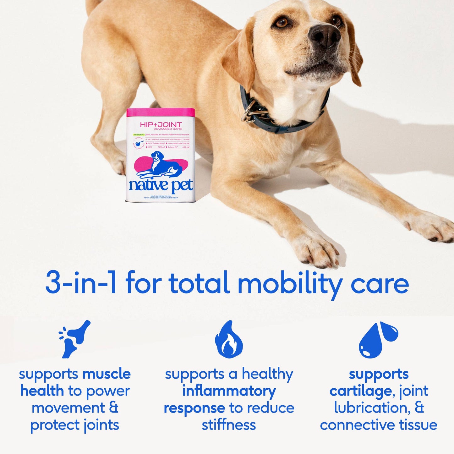 Hip+Joint Advanced Care Powder Joint, Muscle & Inflammation: 30 scoops