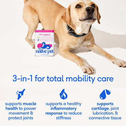 Hip+Joint Advanced Care Powder Joint, Muscle & Inflammation: 30 scoops