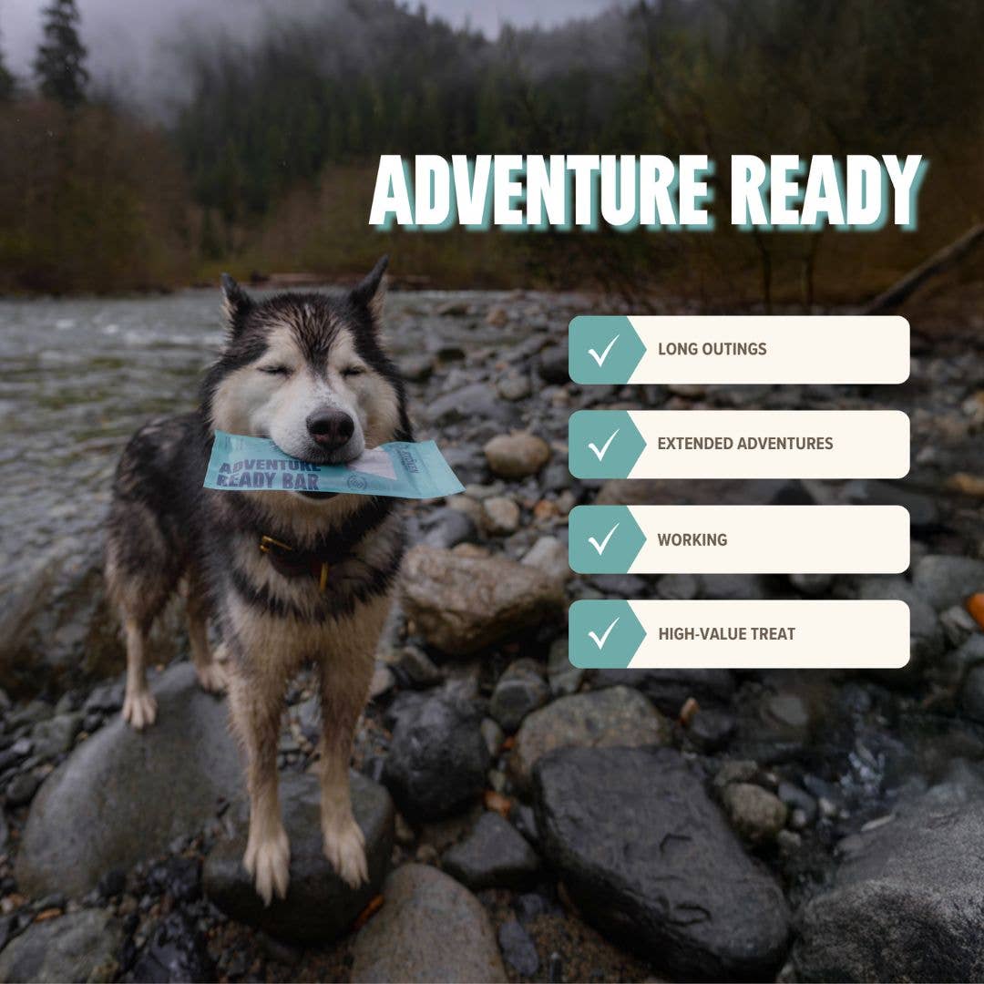 Ryoken Seafood Treat for Dogs