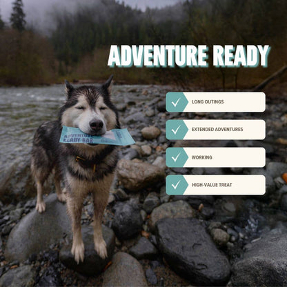 Ryoken Seafood Treat for Dogs