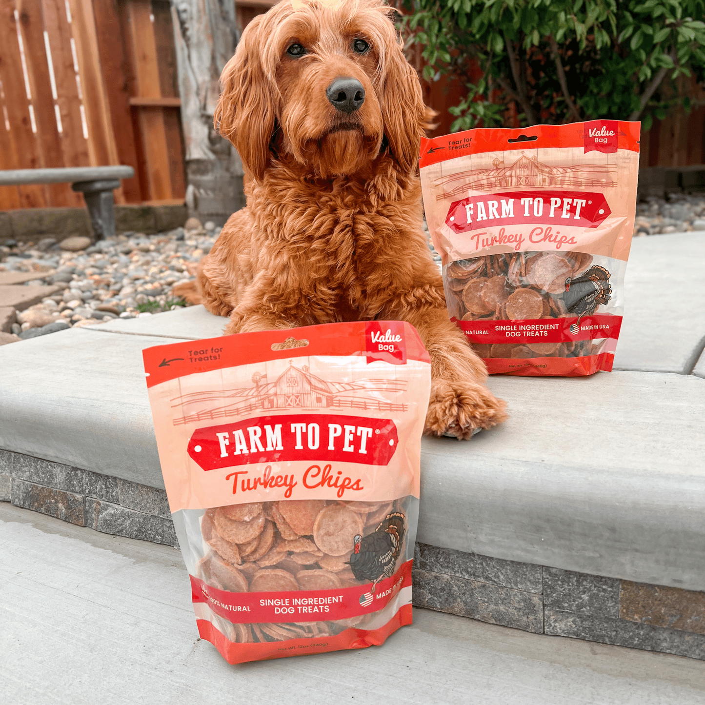 Turkey Chips Dog Treats: 4oz