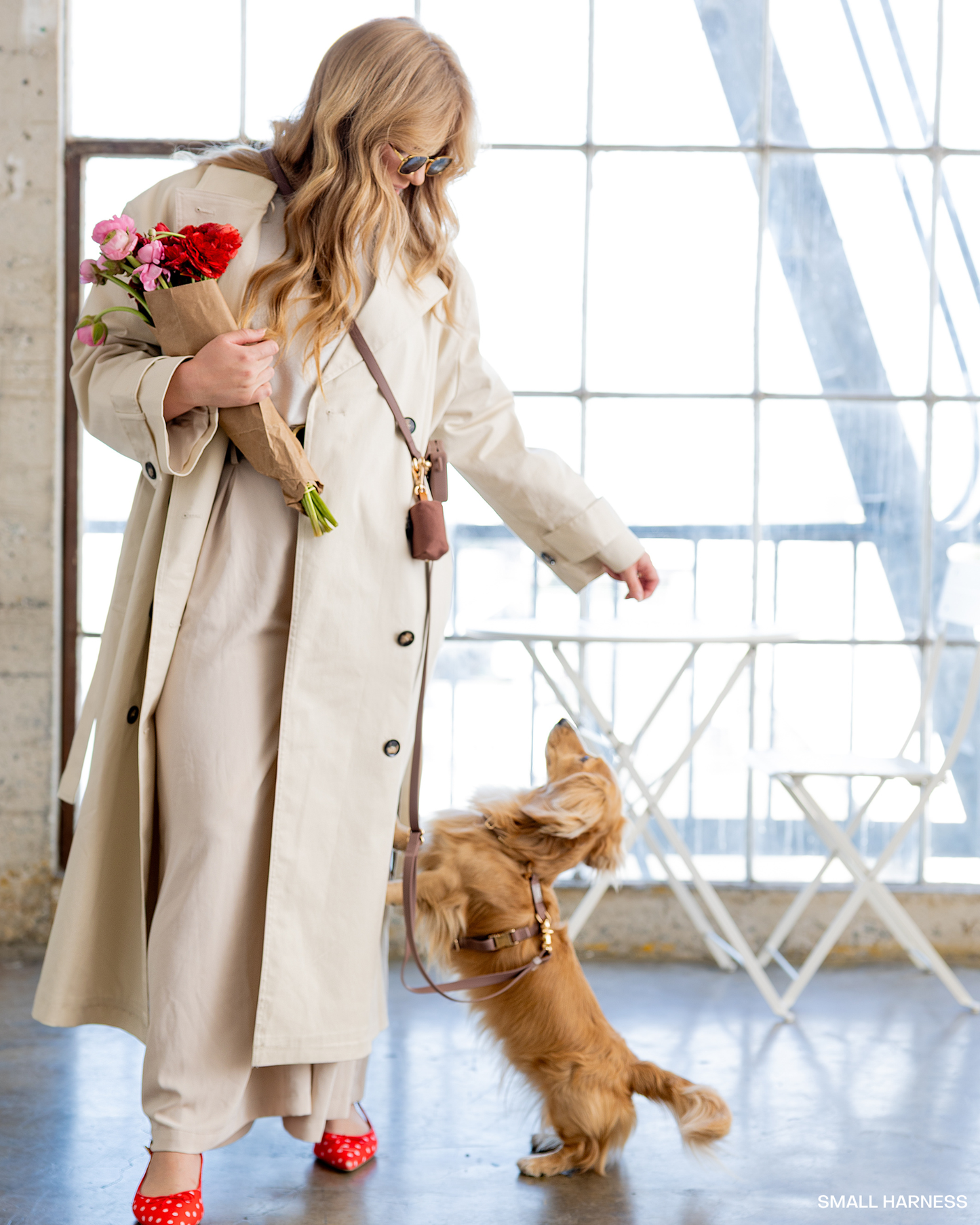 Espresso Brown 4-in-1 Convertible Hands Free Dog Leash