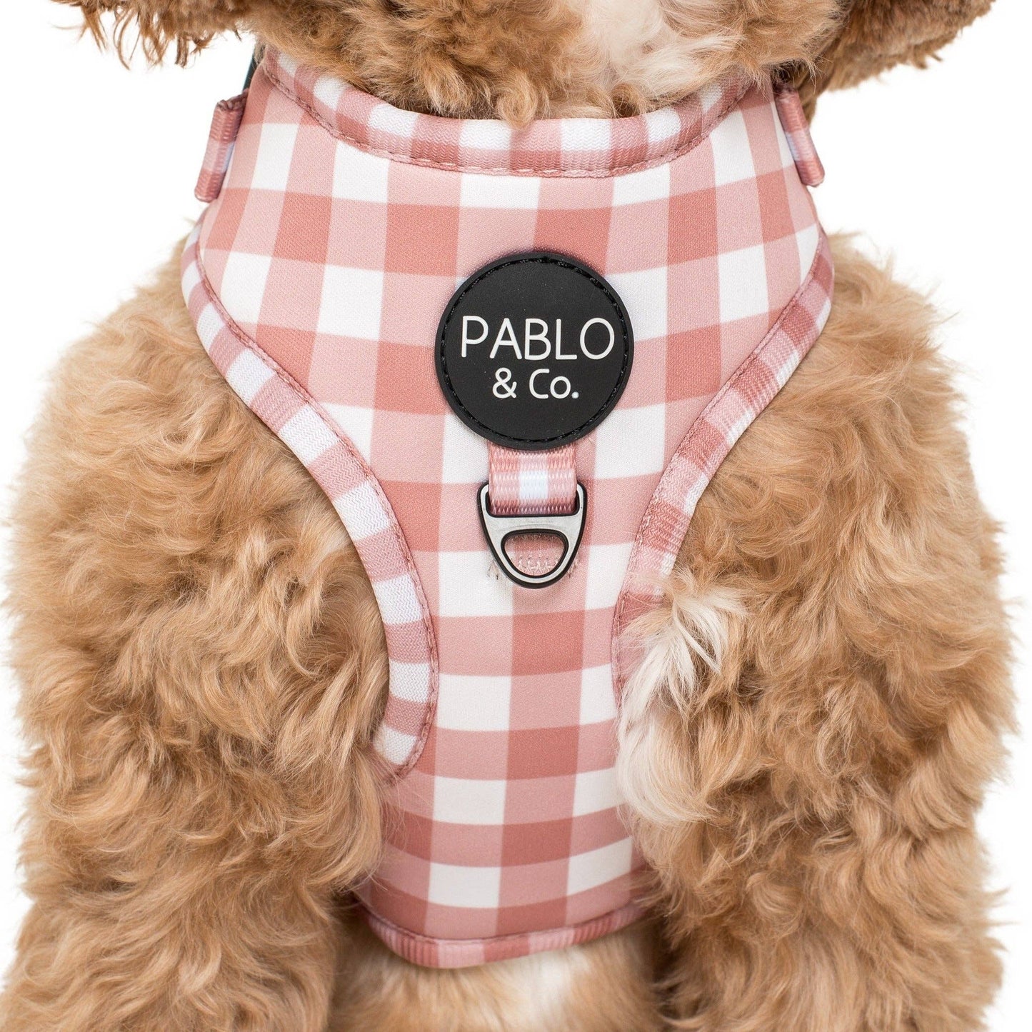 Chocolate Gingham Dog Harness