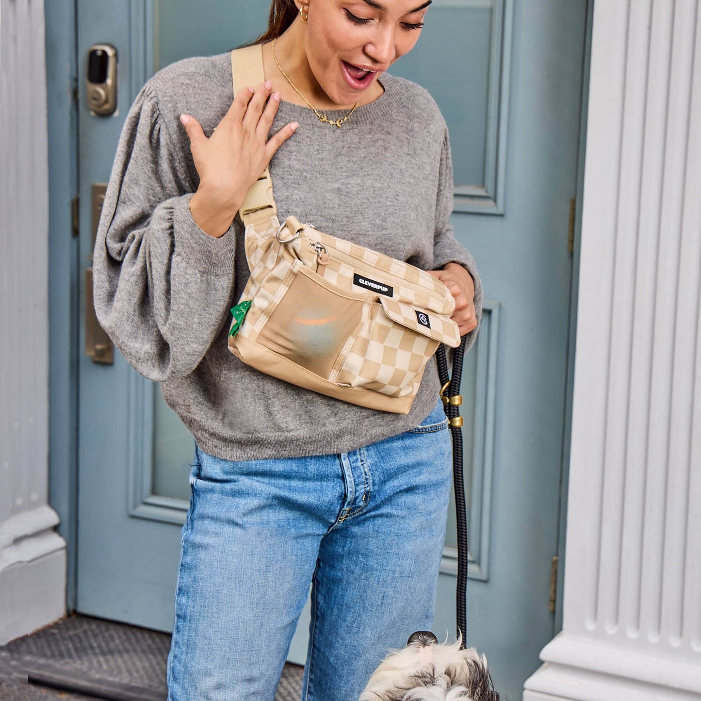 Dog Walk & Train Sling Bag: Sand