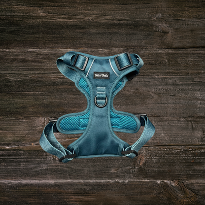 Evergreen Adventure Dog Harness