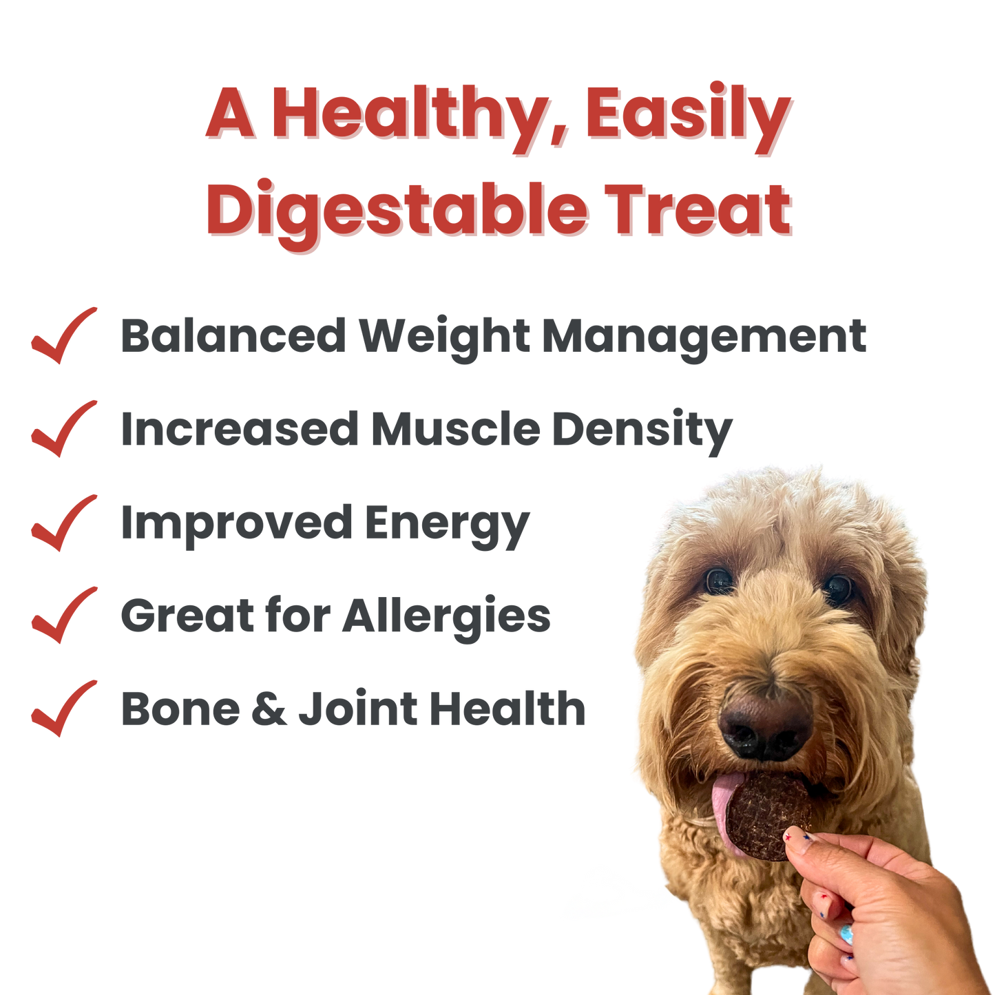 Beef Chips Dog Treats: Standard 4oz