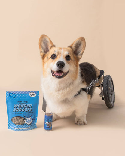 Polkadog Wonder Nuggets, Whitefish & Kelp - 2.5oz - Dog Treats