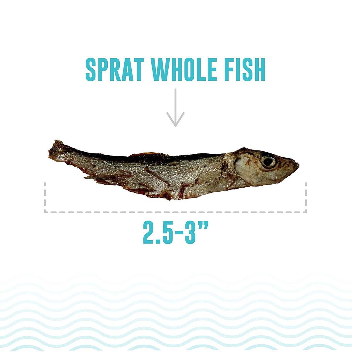 Icelandic Sprat Whole Fish Cat Treats