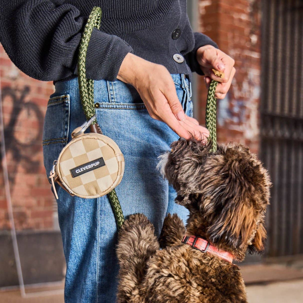 Snackpack Double Insulated Dog Treat Pouch: Leopard