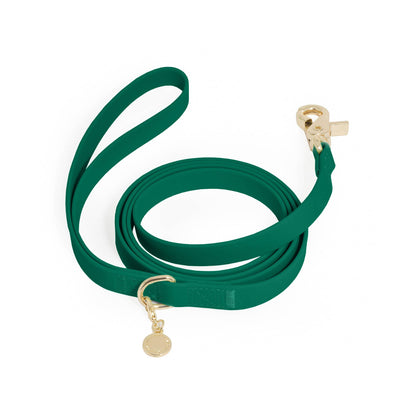 Dog Leash Waterproof - Green, Lightweight, 5 FT
