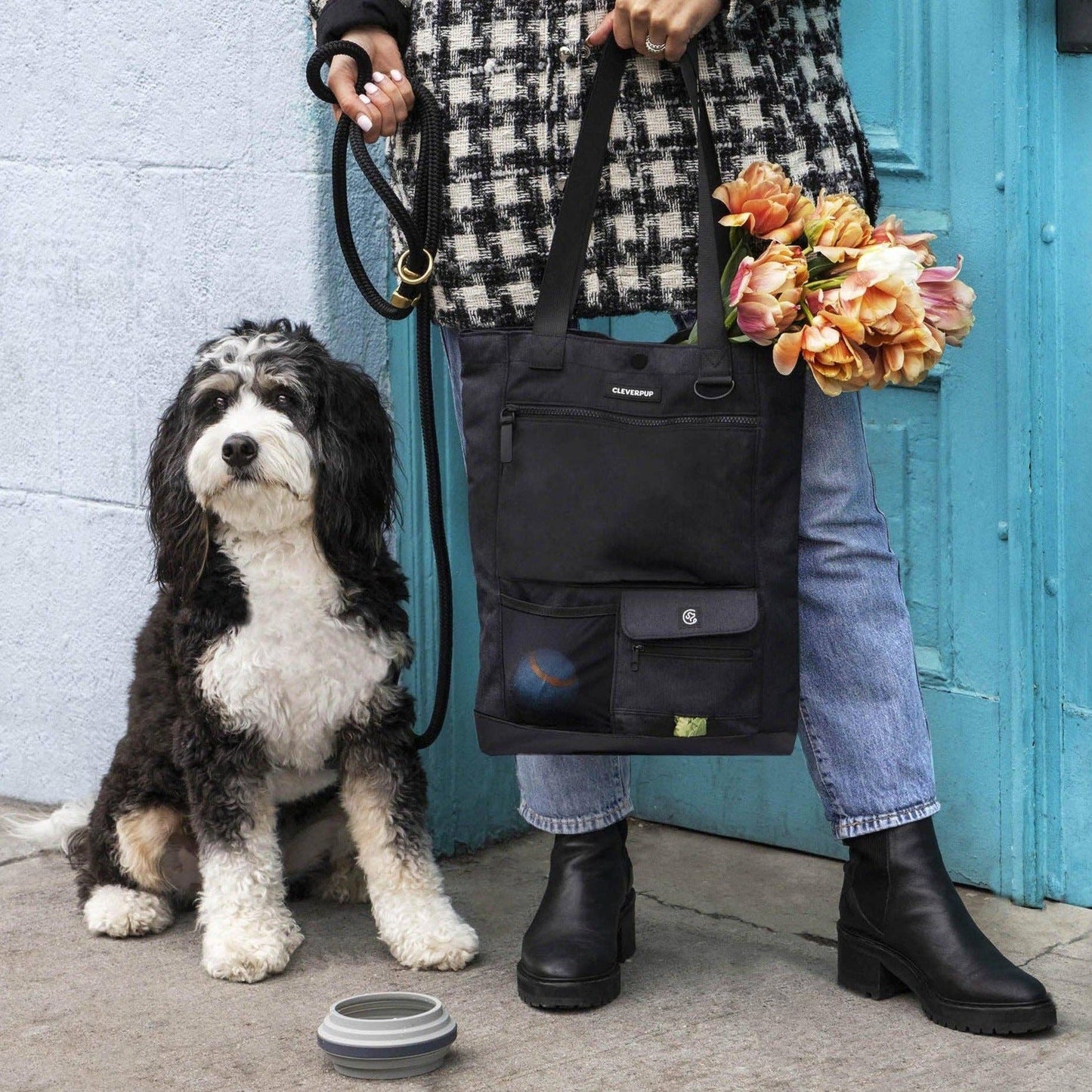 Park Pack Dog Gear Tote:Travel Bowl, Treat Pouch, Toy Pocket: Check
