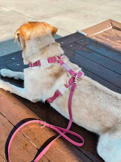Sunny Tails Mulberry Burgundy Cloud Lite Dog Harness: